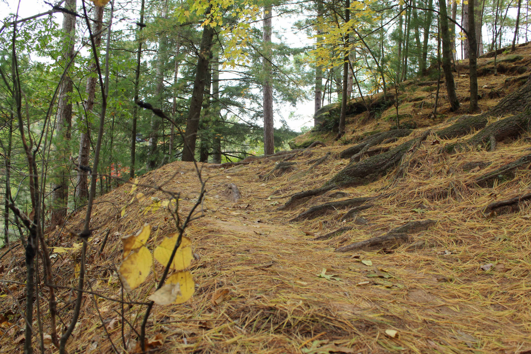 Echo Rock Trail
